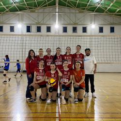 Volei