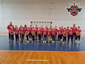Minihandbal